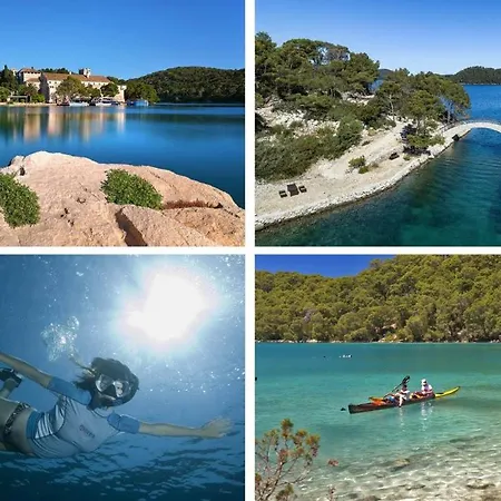 Maestral * 奥瑞比克